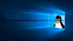 L’état français va passer de Windows à Linux